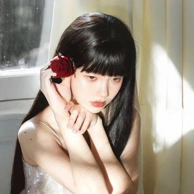 睡觉的笨蛋