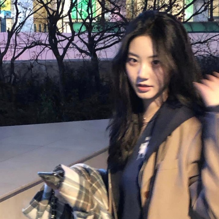 租来的朋友