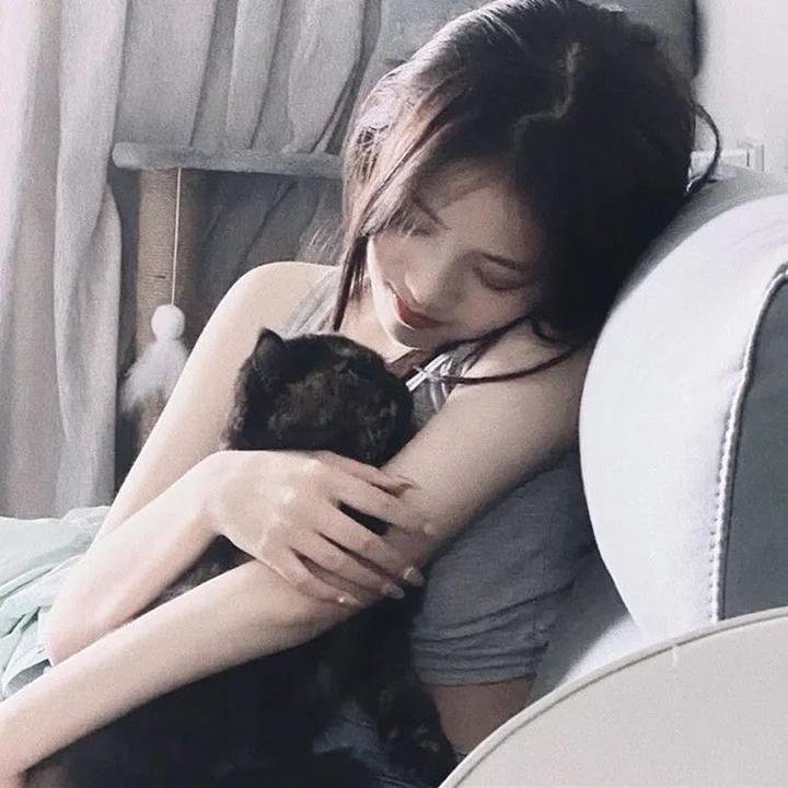 租赁猫